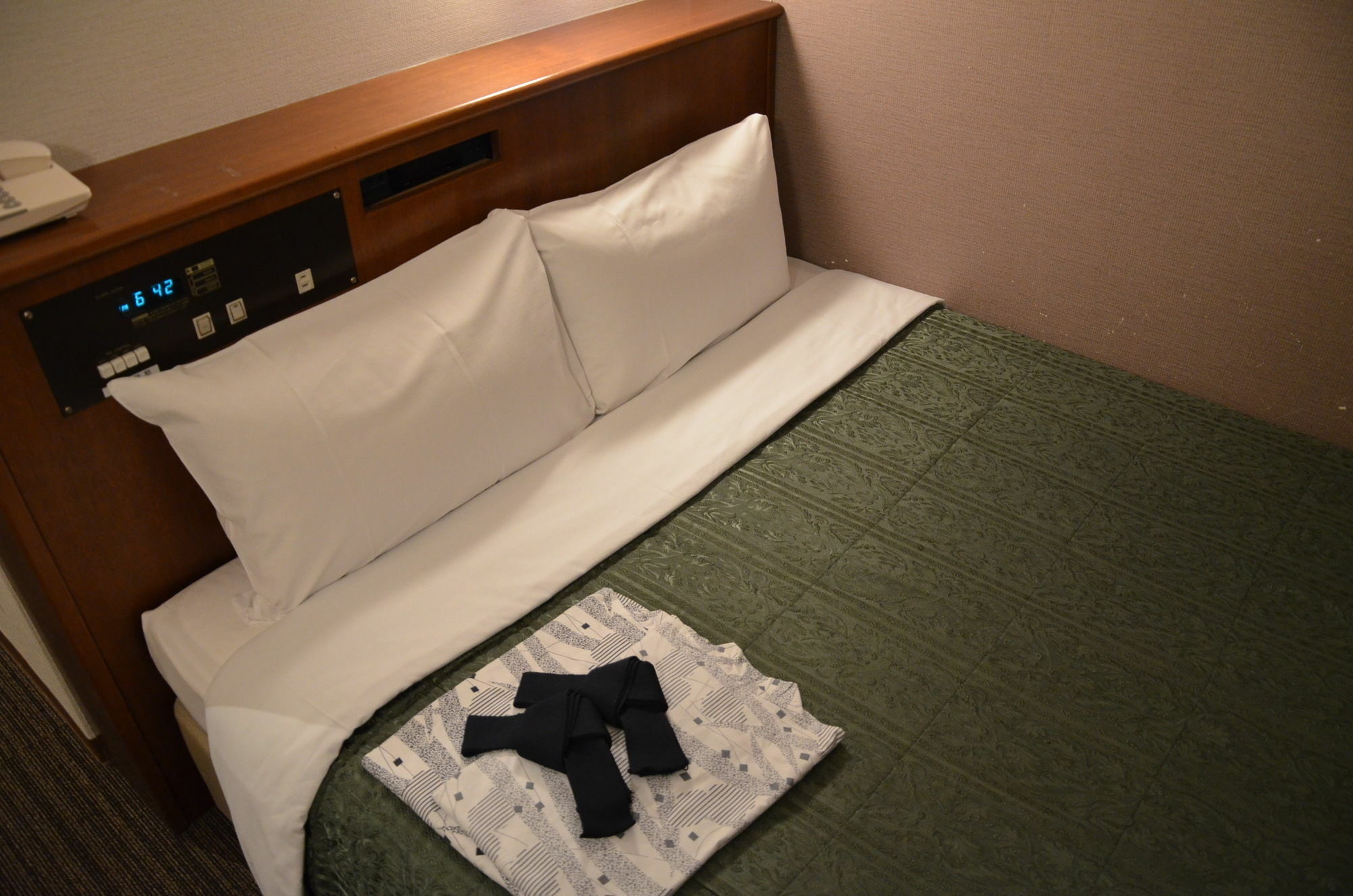 Hikone Biwako Hotel Eksteriør billede